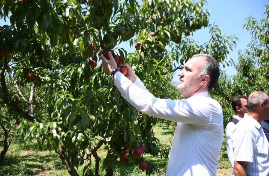 İnegöl Tarımı Şahlanıyor