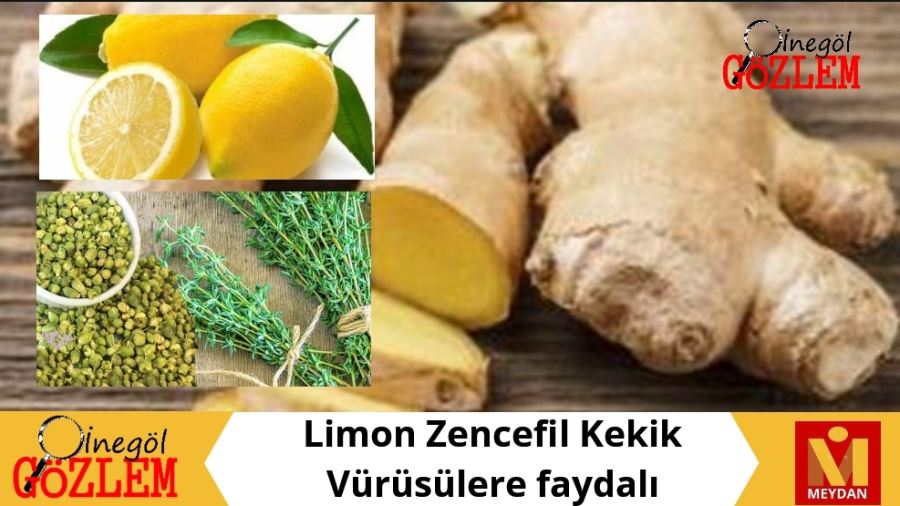 Limon Zencefil Kekik Vürüsülere faydalı