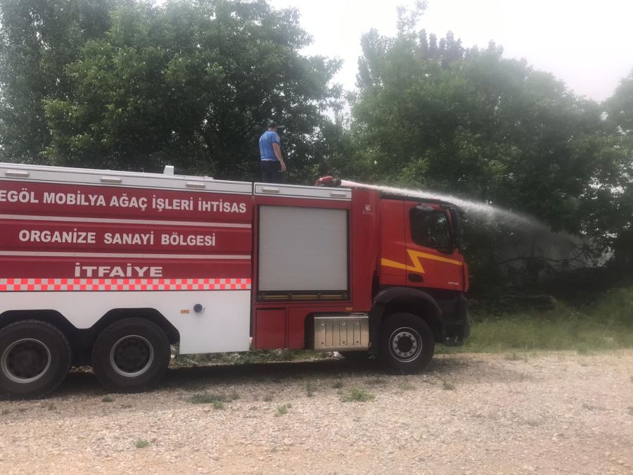 AĞAÇLIK ALANA SIÇRAMADAN YANGIN SÖNDÜRÜLDÜ