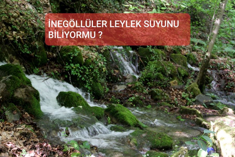 Leylek Suyu’ vatandaşların akınına uğradı