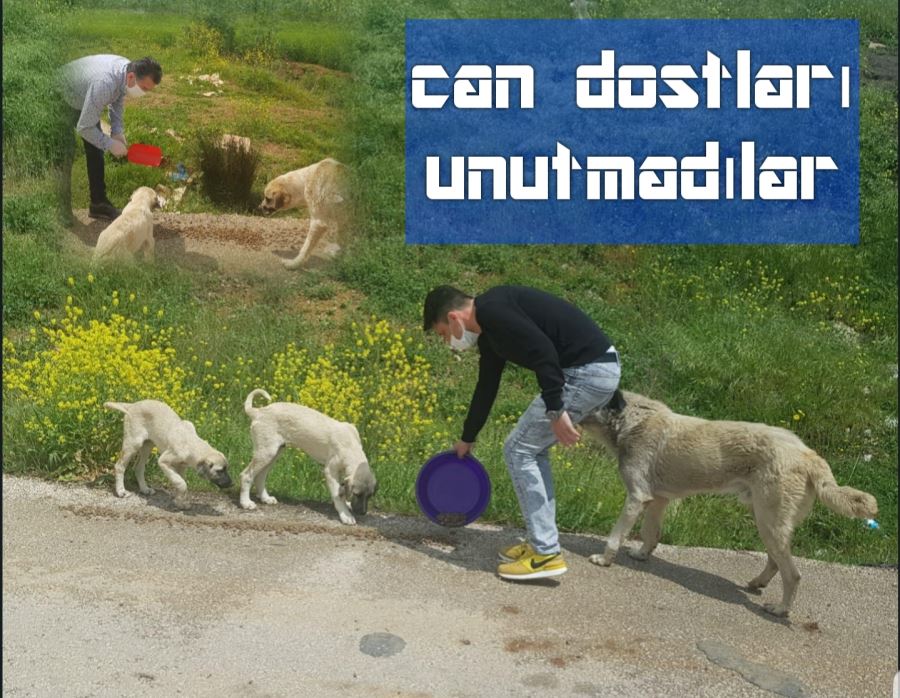 Can dostları unutmadılar