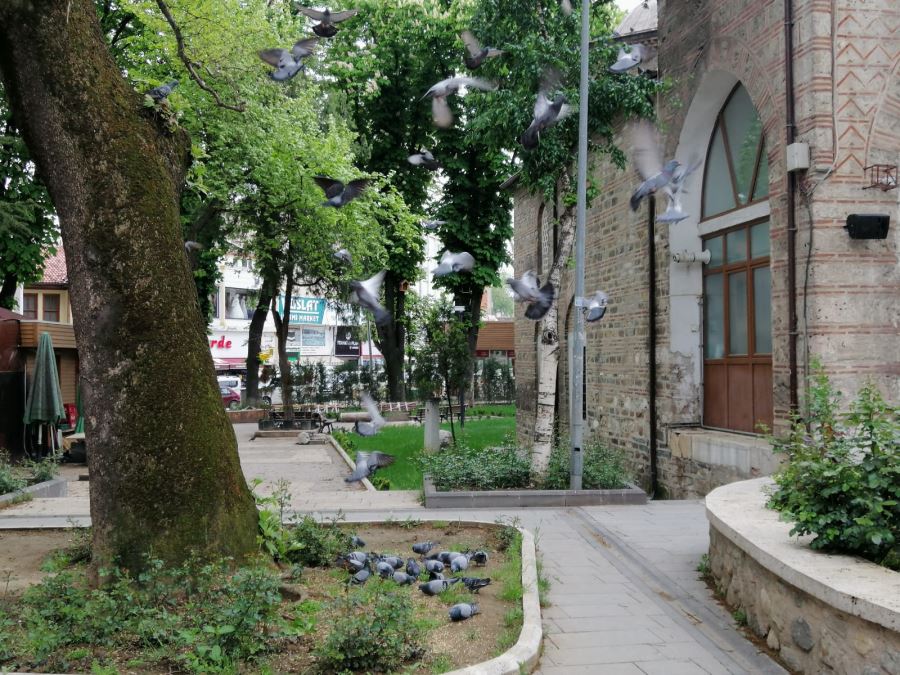 İshak paşa camii güvercinsiz olmaz.