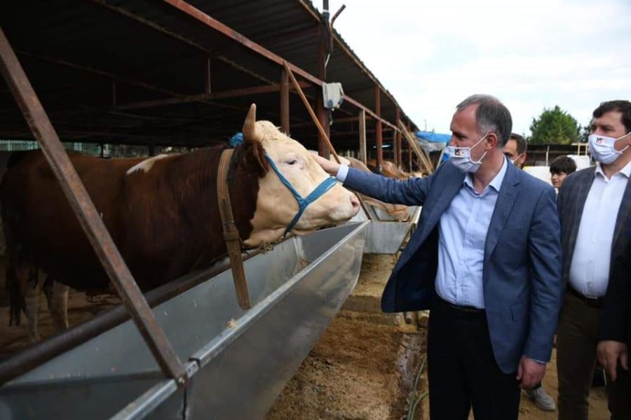 Hayvan Pazarında Hareketlilik Başladı.