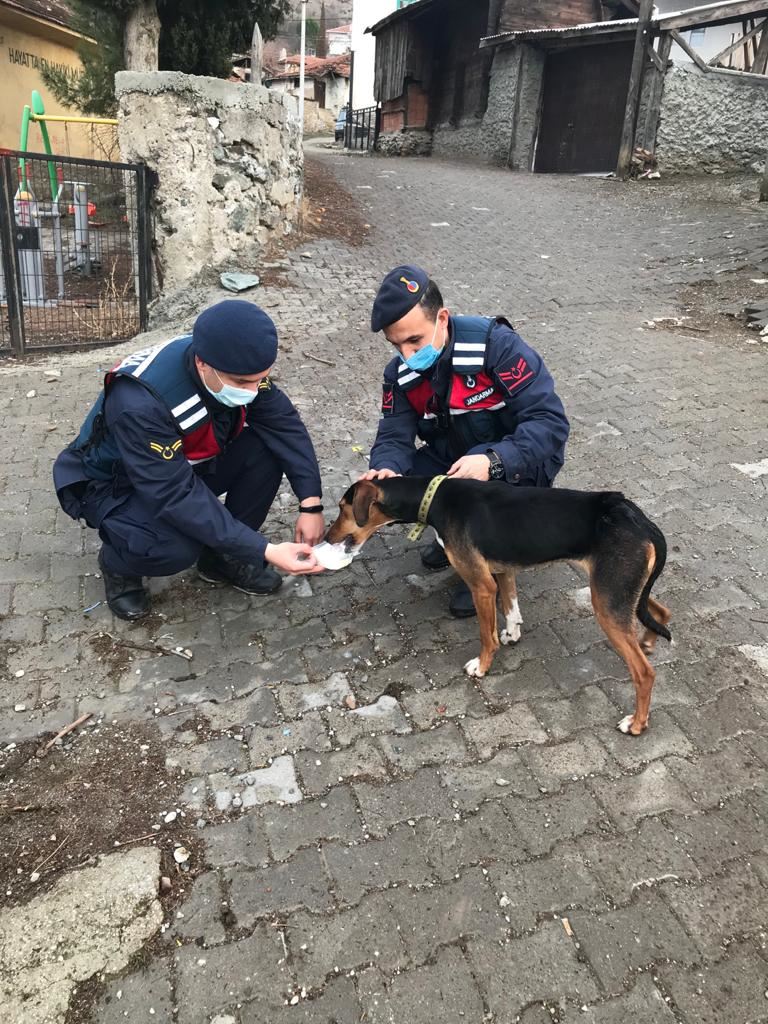 Jandarma asayiş ekipleri harekete geçti