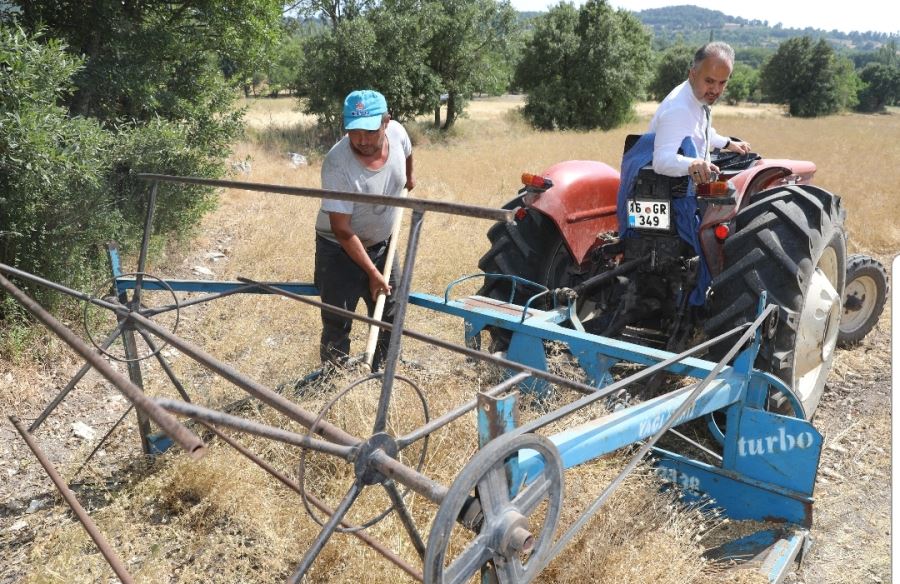 Siyez buğdayında hasat bereketi