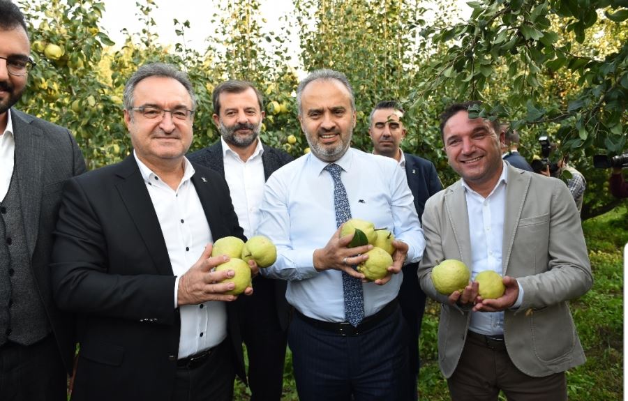 Armut bahçelerinde hasat bereketi