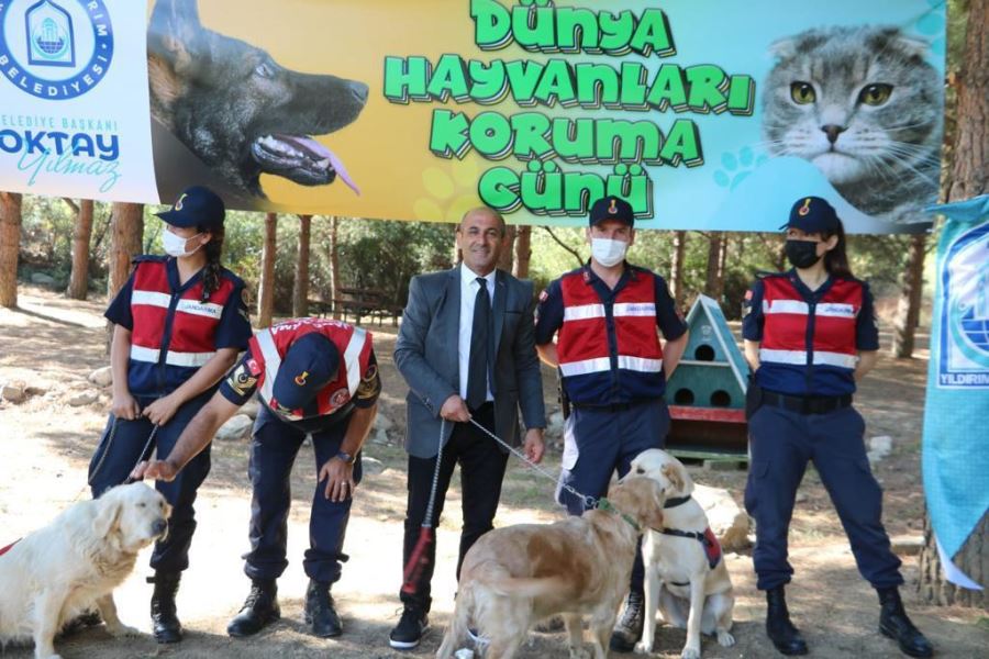 Bursa’da Jandarma ile Hayvanları Koruma Günü Etkinliği