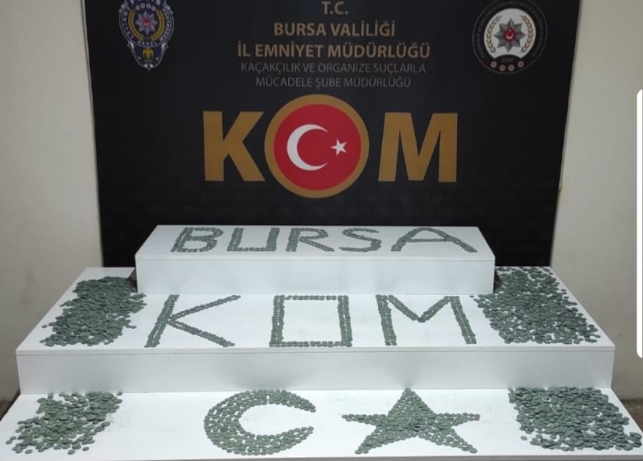 Bursa