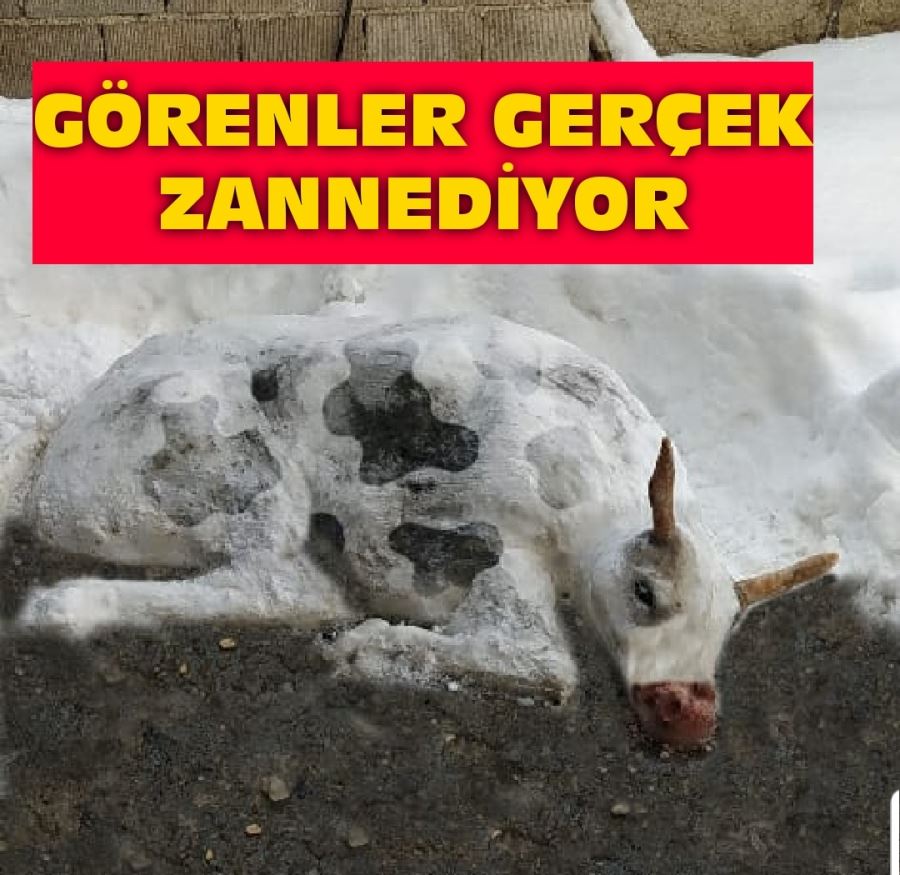 Görenler gerçek zannediyor