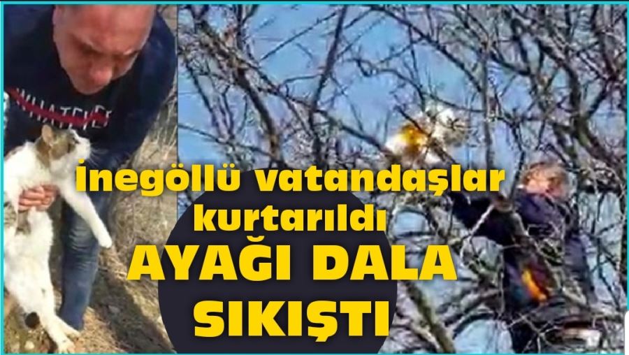 Saatlerce mahsur kalan kedi İnegöllü vatandaşlar tarafından kurtarıldı