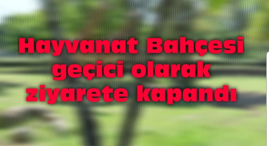 Hayvanat Bahçesi geçici olarak ziyarete kapandı