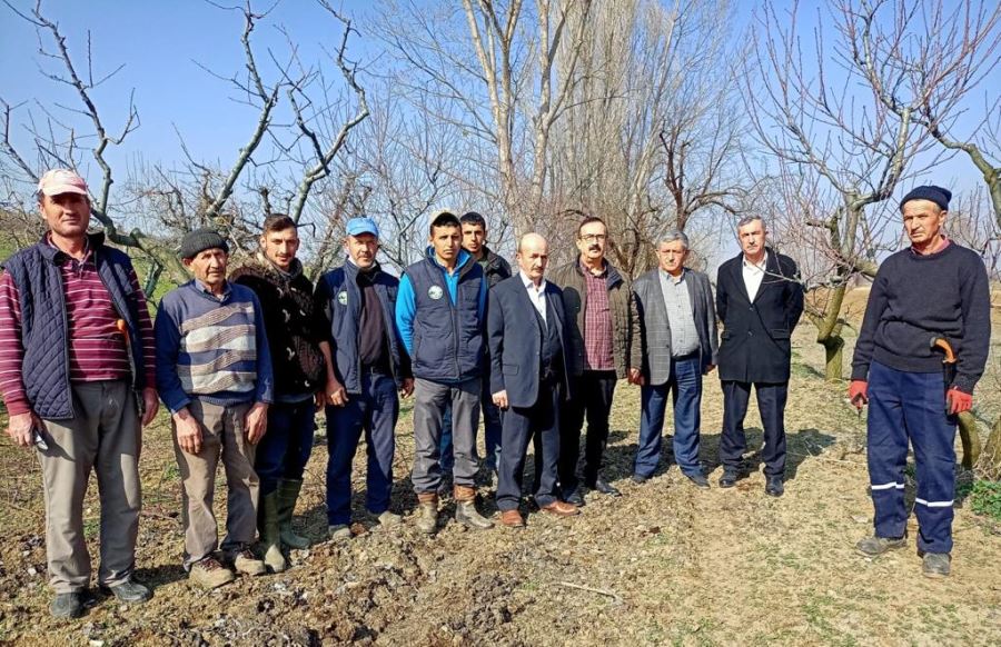 Ağaç Budama Sertifikası Çiftçilere Ekmek Kapısı oldu