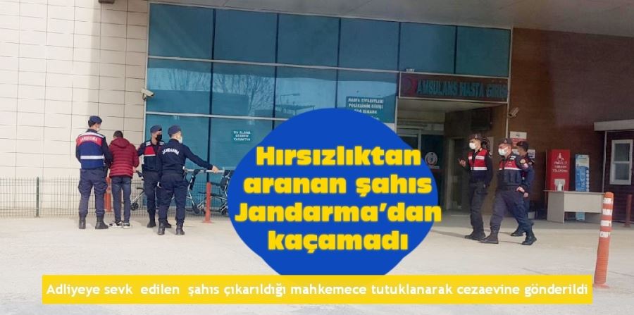 Hırsızlıktan aranan şahıs Jandarma’dan kaçamadı