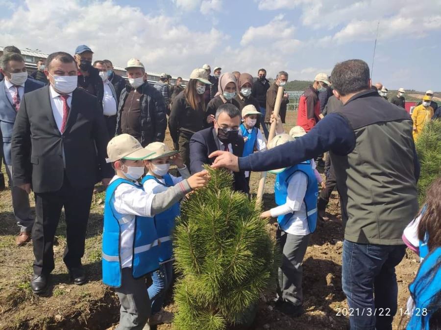 YANAN ORMANLAR KÜLLERİNDEN DOĞUYOR