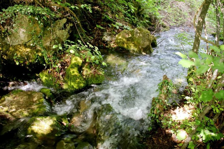 İnegöl’de ‘Leylek Suyu’ kuyruğu