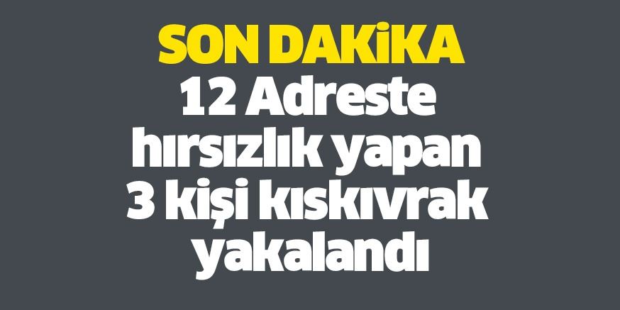 12 Adreste hırsızlık yapan  3 kişi kıskıvrak yakalandı