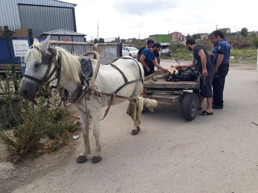 At arabalı hırsızlar başa bela oldu!