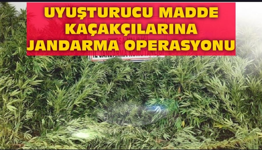 UYUŞTURUCU MADDE KAÇAKÇILARINA JANDARMA OPERASYONU