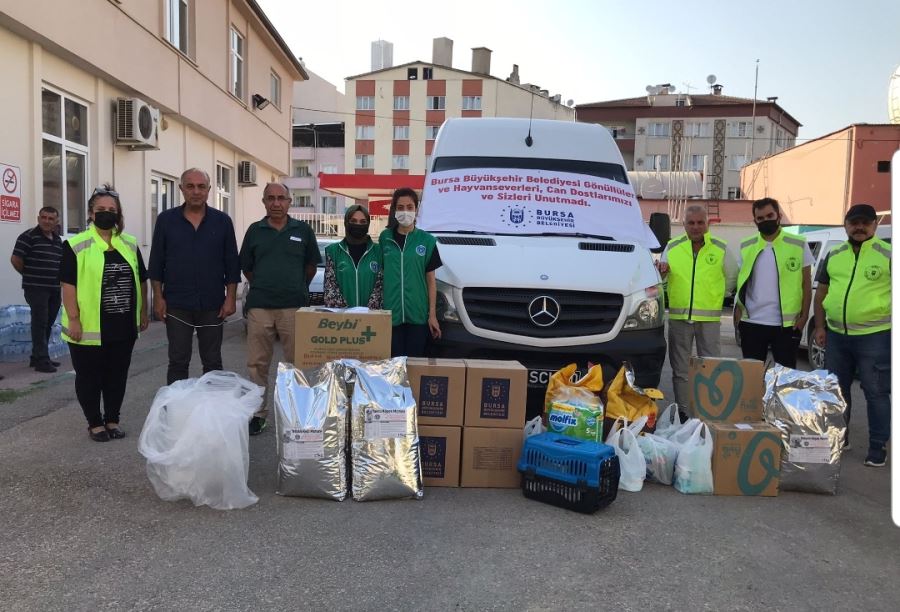 Yangın bölgesindeki can dostları unutulmadı