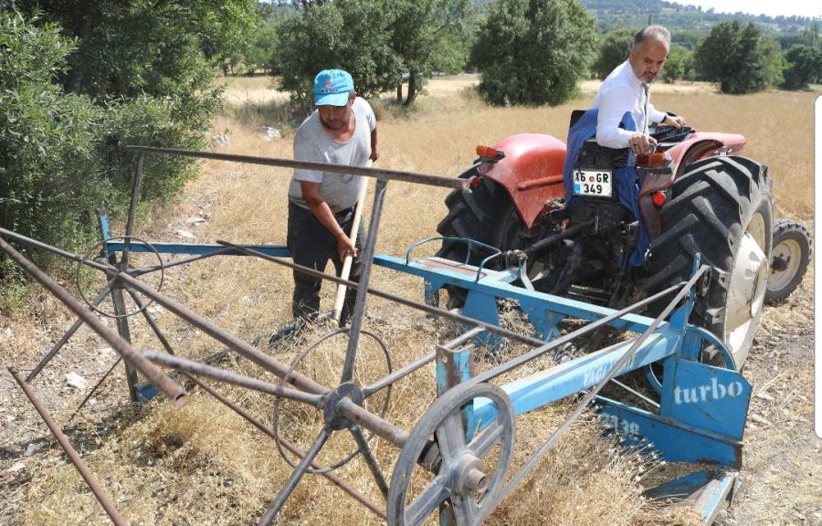  Siyez buğdayı ve çörek otunda hasat zamanı