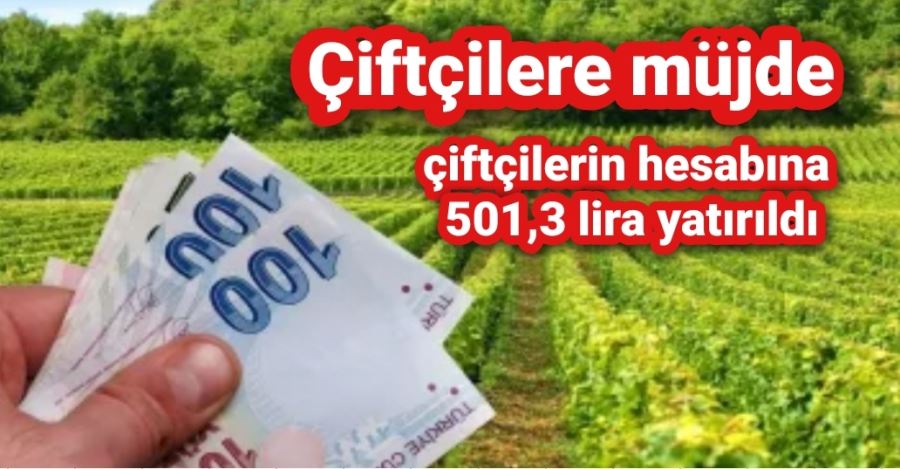 çiftçilerin hesabına 501,3 lira yatırıldı