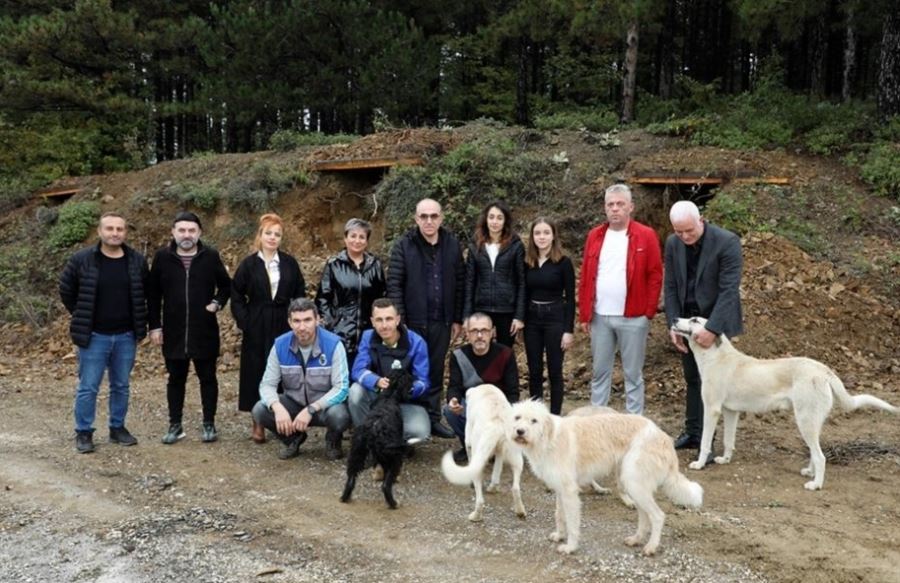 Sokak Canları Korunaklı Yuvalara Kavuştu