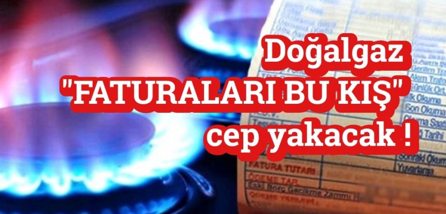 2023 yılında partilerin hazineden alacağı para belli oldu