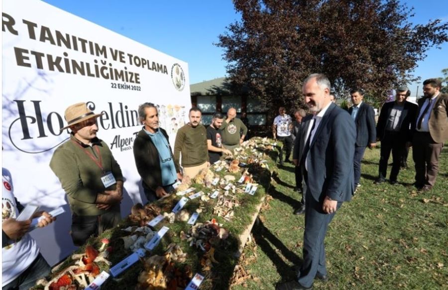 TÜRKİYE’NİN MANTAR AVCILARI İNEGÖL’DE BULUŞTU