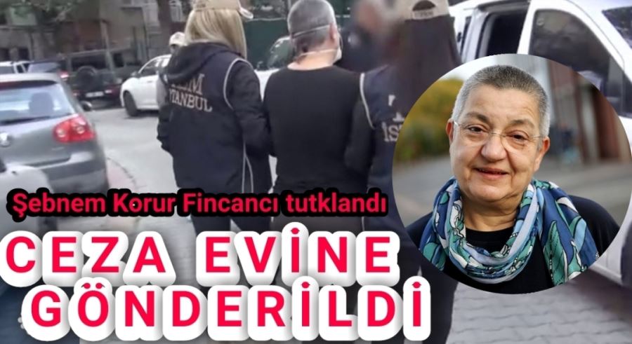 Şebnem Korur Fincancı tutklandı