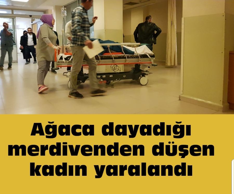 Ağaca dayadığı merdivenden düşen kadın yaralandı