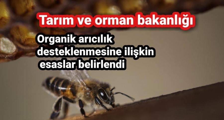 Tarım ve Orman Bakanlığın