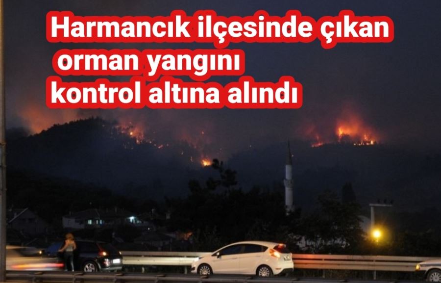 Harmancık ilçesinde çıkan orman yangını kontrol altına alındı