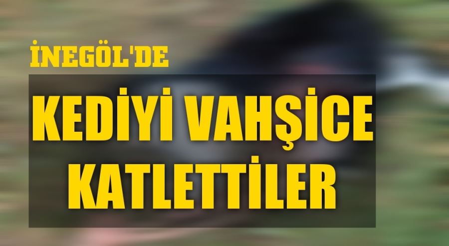 İnegöl’de Kediyi vahşice katlettiler