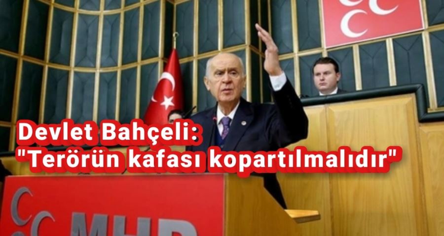 MHP Lideri Devlet Bahçeli, 