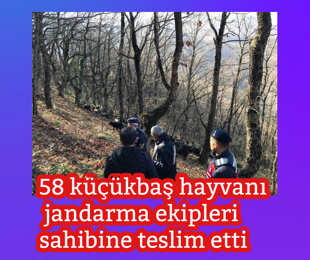 Jandarma ekipleri kaybolan 58 küçükbaş hayvan sahibine teslim edildi