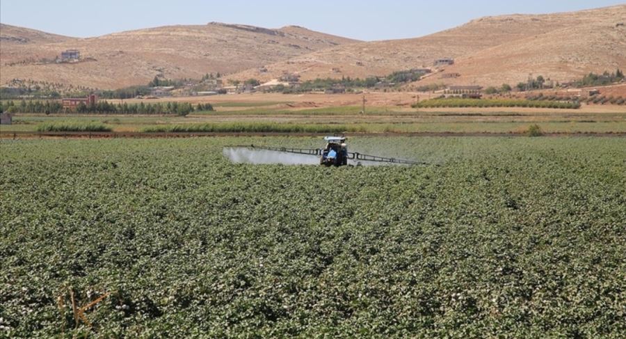 Tarım Kredi gübre fiyatlarında yüzde 30