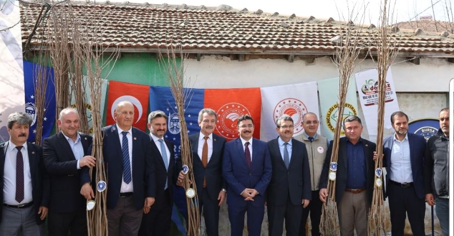 Mudanyalı çiftçiye Trabzon hurması desteği