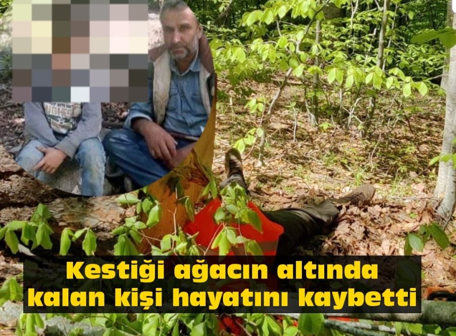 Kestiği ağacın altında kalan kişi hayatını kaybetti