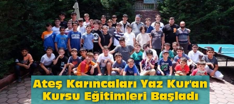 Ateş Karıncaları Yaz Kur