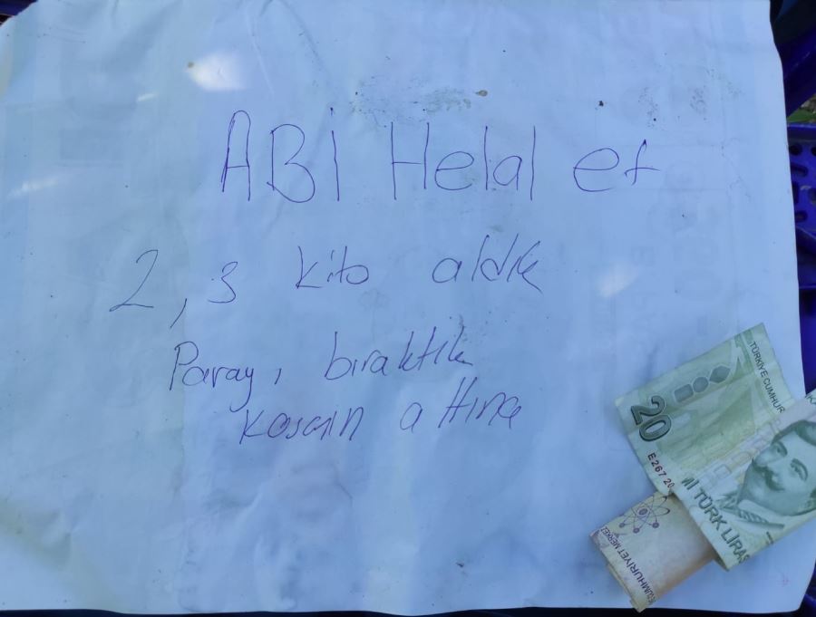 Bahçe sahibinden helallik istedi