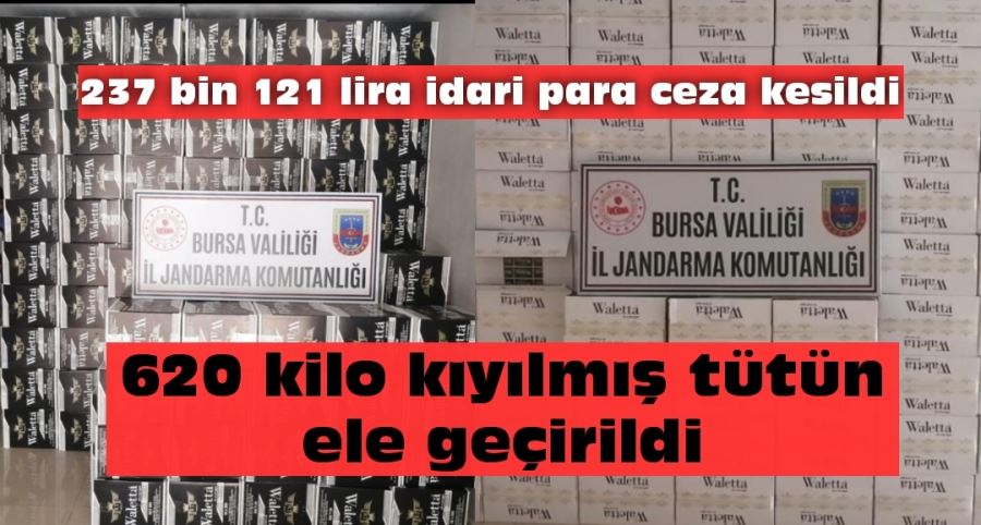 Jandarmadan yarım tonluk kaçak sigara operasyonu