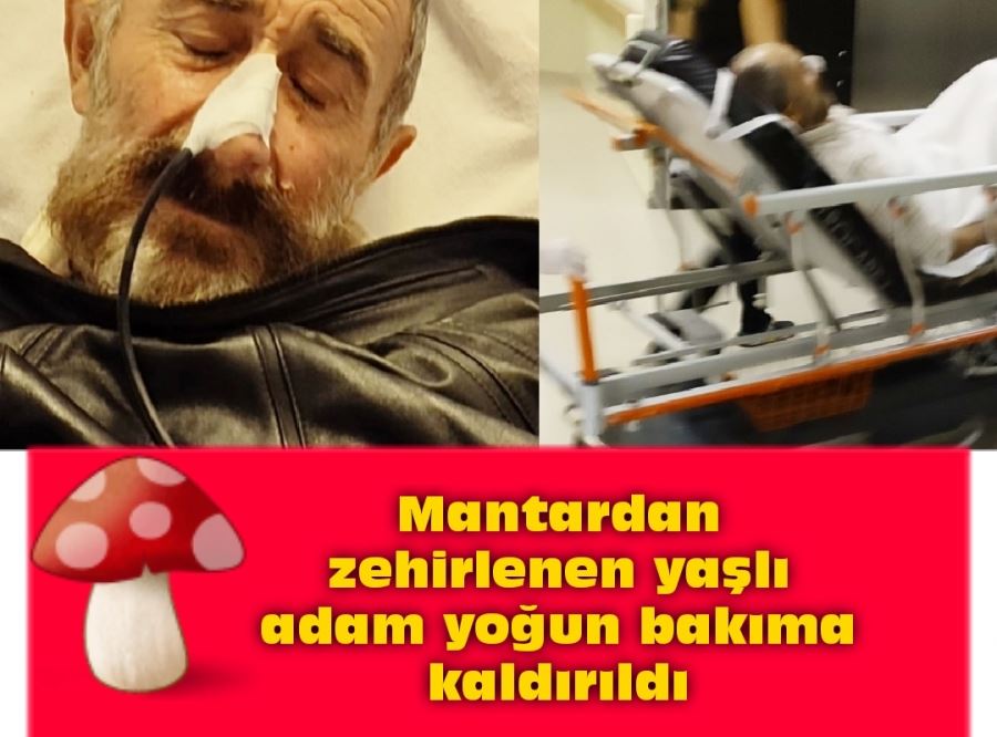 Mantardan zehirlenen yaşlı adam yoğun bakıma kaldırıldı