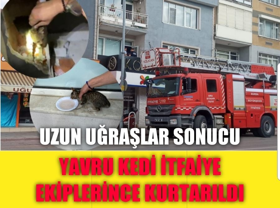 YAVRU KEDİ İTFAİYE EKİPLERİNCE KURTARILDI