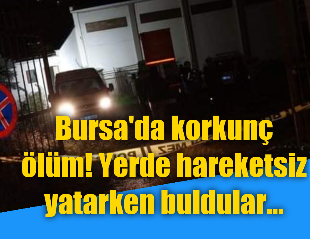 Bursa