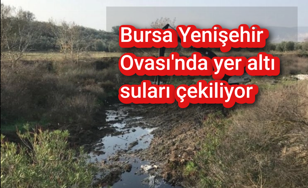 Bursa Yenişehir Ovası