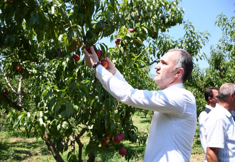 İnegöl Tarımı Şahlanıyor