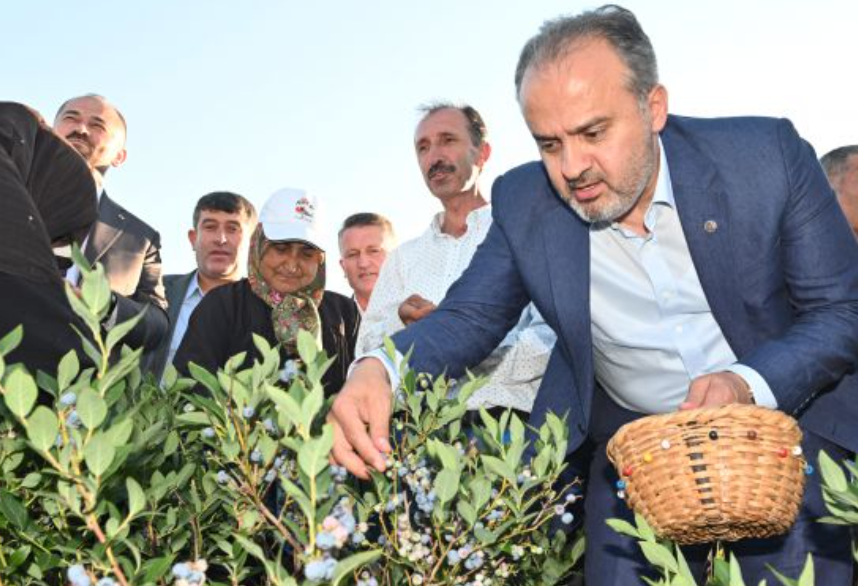 Büyükşehir’in tarlada izi var