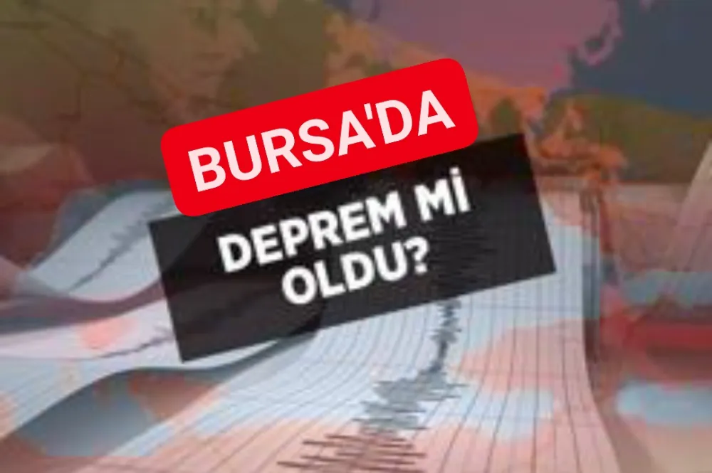 Bursa