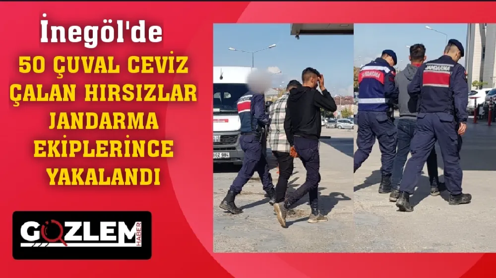 50 çuval ceviz çalan hırsızlar jandarma ekiplerince yakalandı