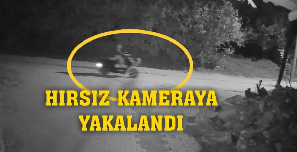 HIRSIZ KAMERAYA YAKALANDI